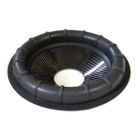 10" Carbon cone with surround